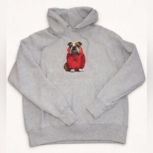 Champion Reverse Weave Chicago Bulldog Graphic Hoodie Gray Size L